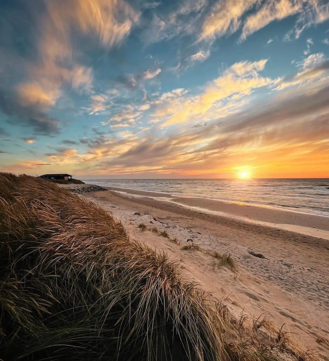 Flussseite von Pfotenglück Assistenzhundezentrum & Hundeschule